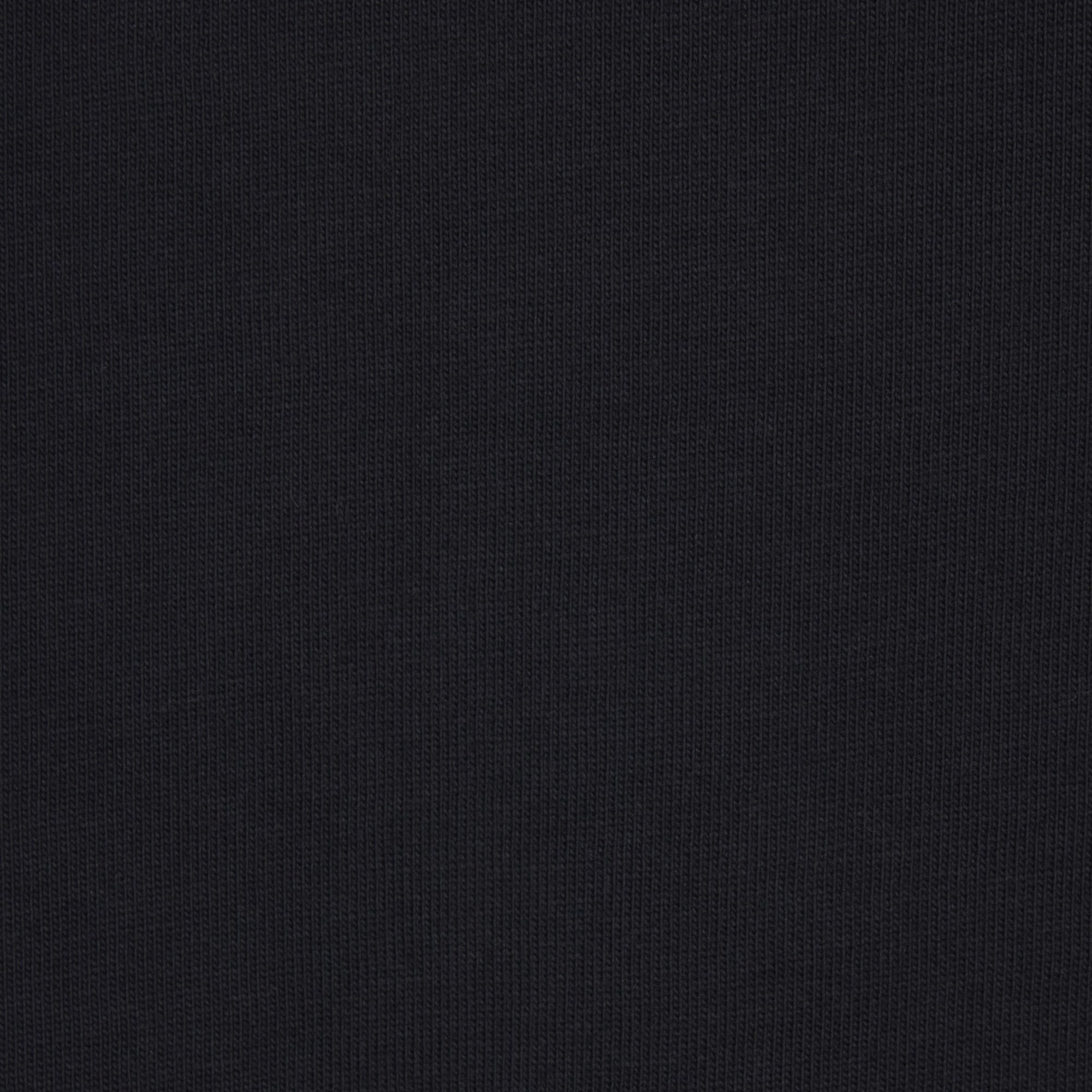 HEAVYWEIGHT COTTON MENS RELAXED LONG SLEEVE T-SHIRT | OBSIDIAN (MENS LONG SLEEVE T-SHIRTS) ON A MODEL FRONT VIEW